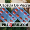 Cápsula De Viagra 05